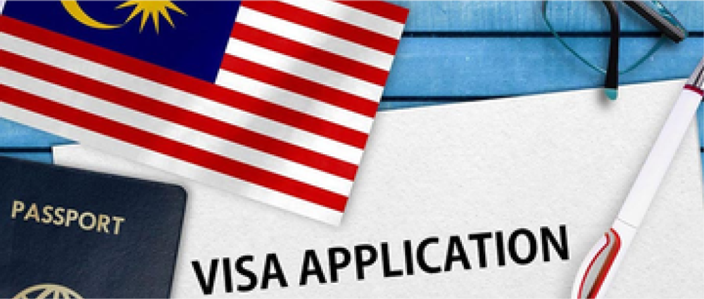 Visa Application